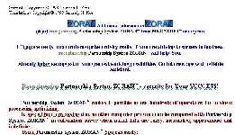 Дополнительная информация о Партнерской Системе ЗОРАН (MS WORD 2000).